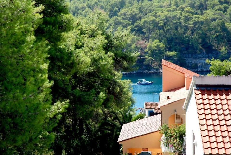 Guest House Alek Vrboska Room photo